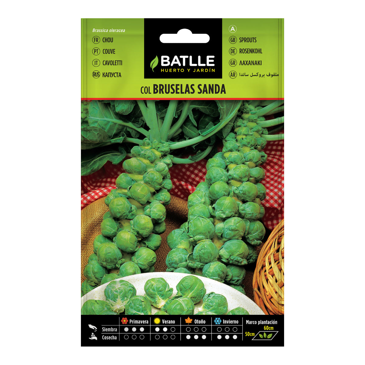 Semi di cavolo di Bruxelles Sanda Batlle