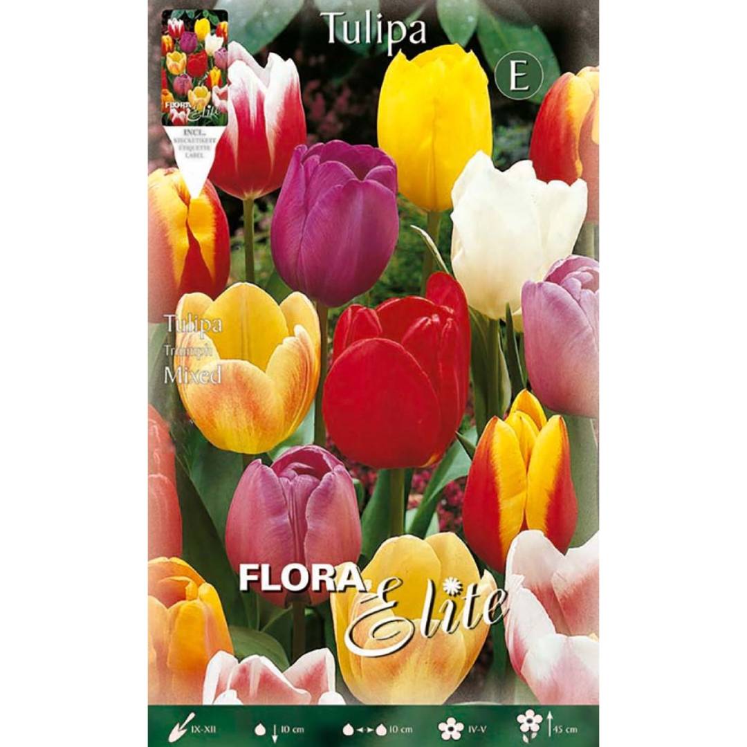 Bulbi di tulipano misti 7 pz