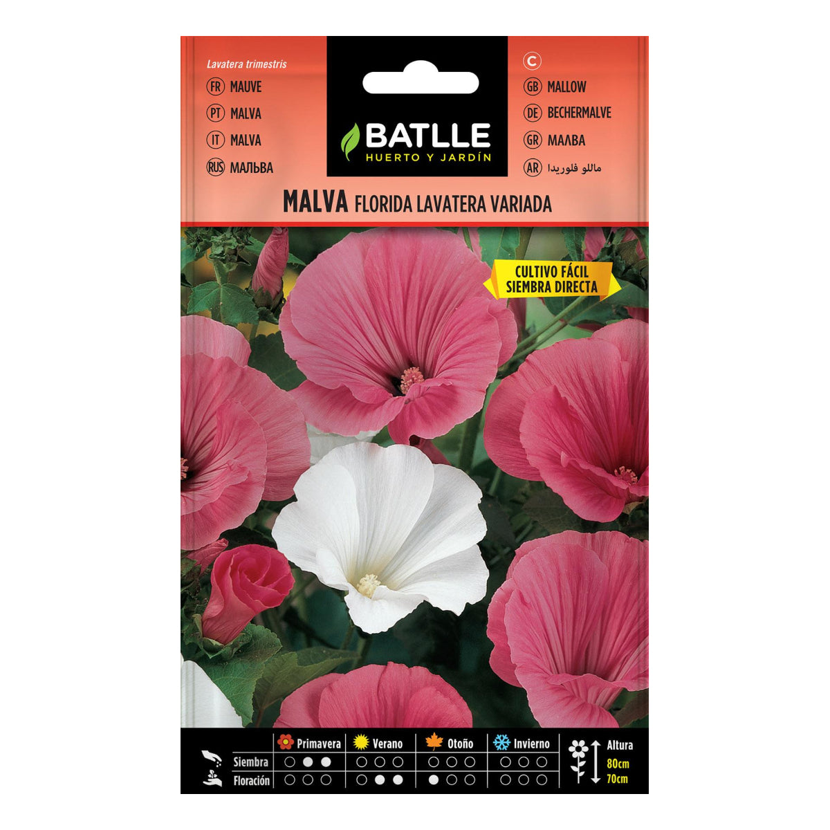 Blandade dubbla centaureafrön Batlle