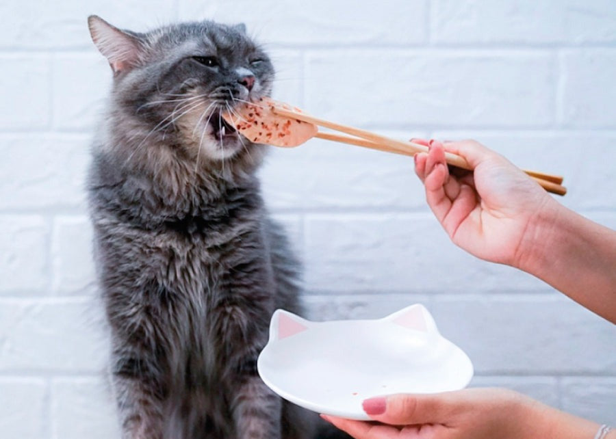 Kit Cat FilletFresh - Tonijn en gerookte vis 30 g Natuurlijke snack voor katten