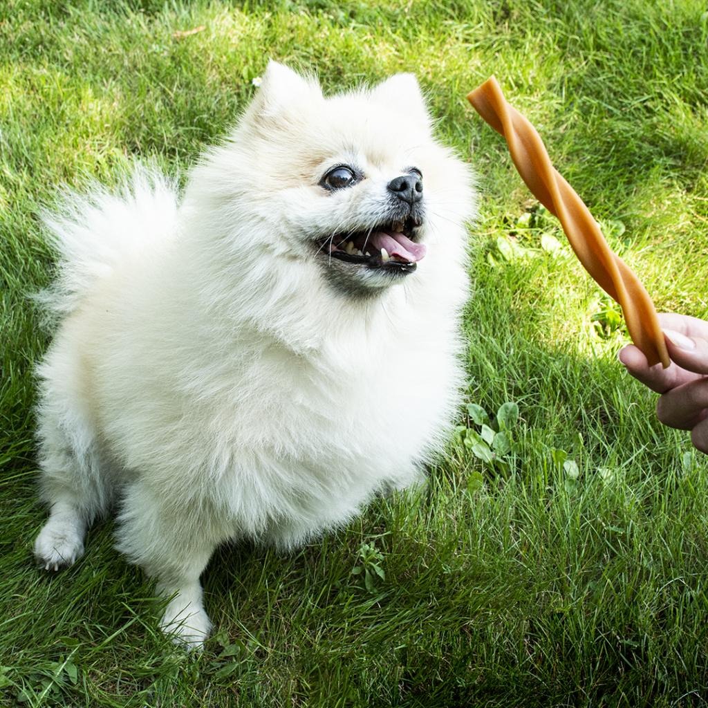 Garden Bites Fruity Dental Swirls Dental snack for dogs S 30 pcs Duvo