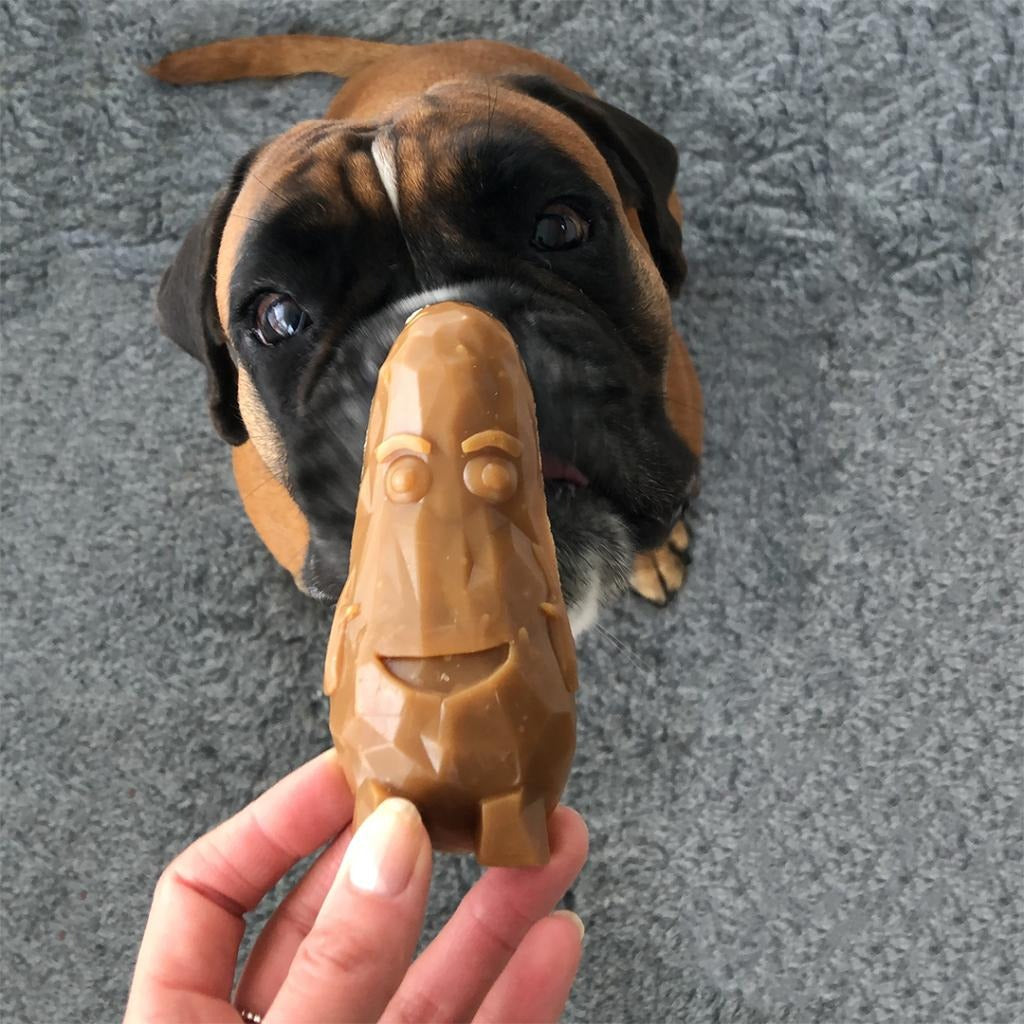 Garden Bites Veggie Friends Dog Snack L 3 pcs Duvo