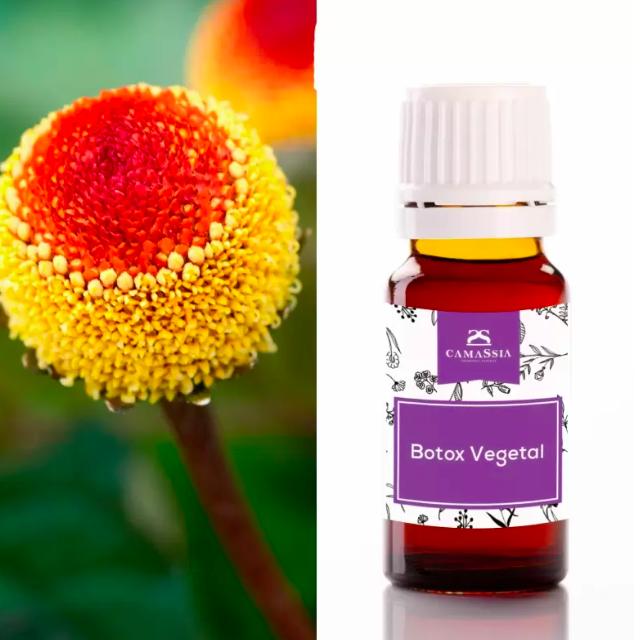 Plantaardige botox Actief ingrediënt, 10 ml. Camassia
