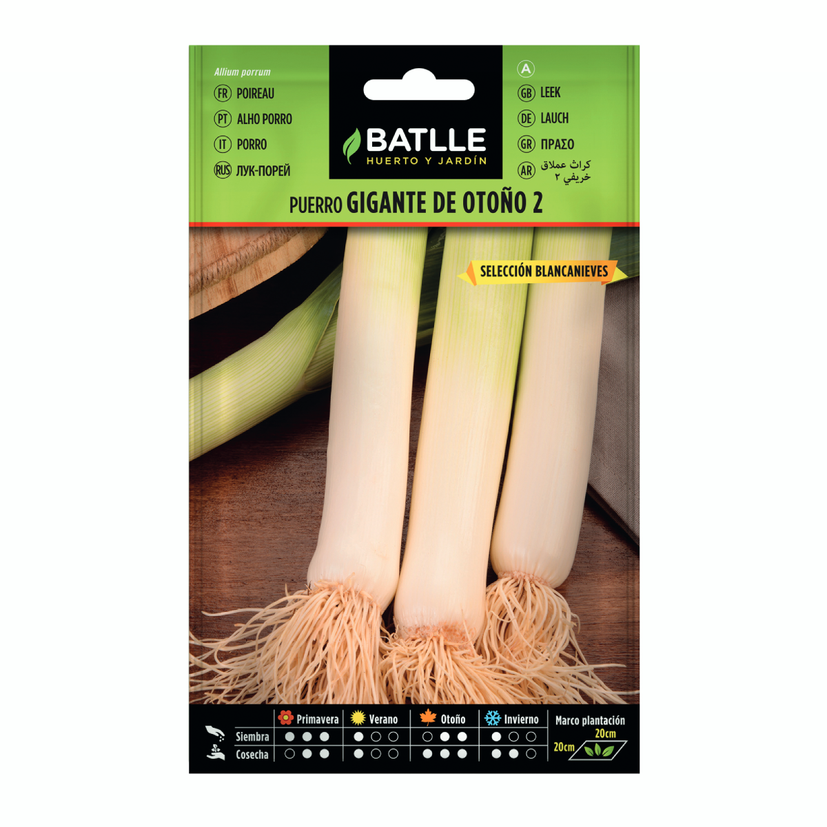 Frön av jättepurre för hösten 2 sel. Blancanieves Batlle