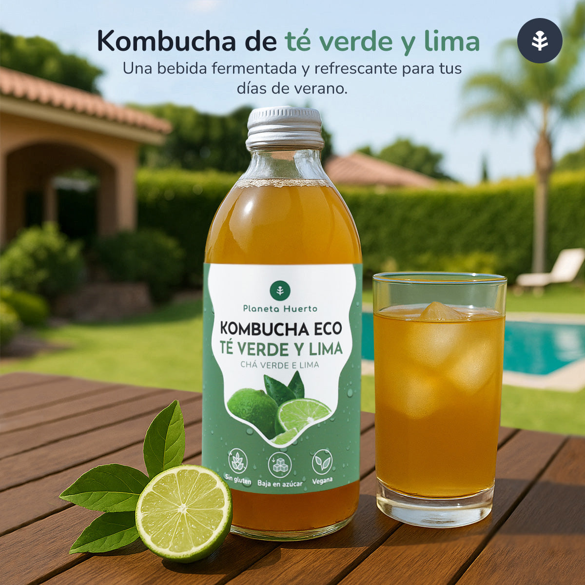 Pack 6x Kombucha ECO thé vert et citron vert Planeta Huerto 330 ml