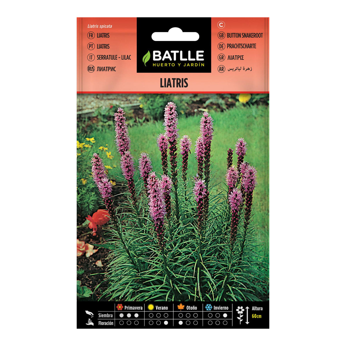 Liatris-Samen Batlle