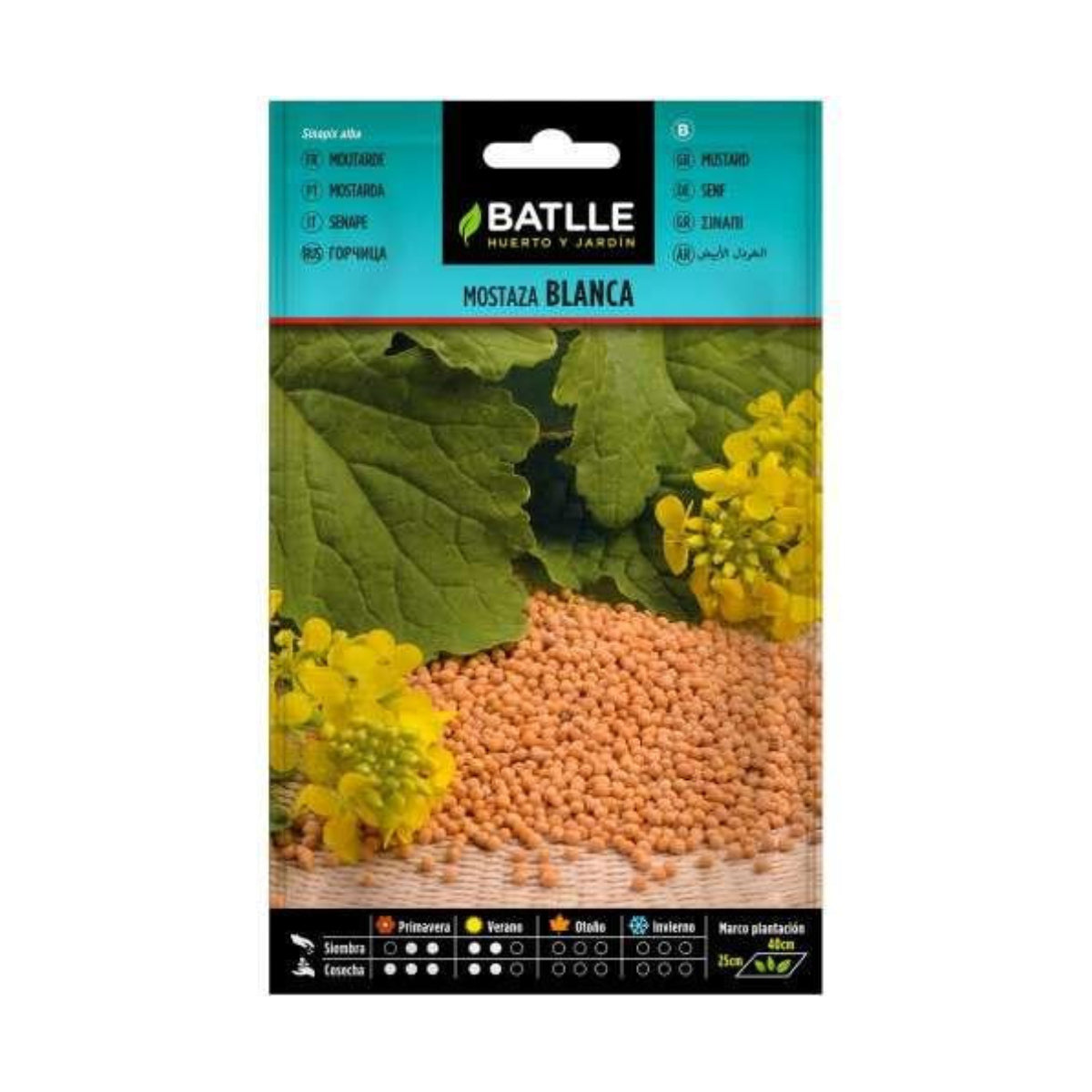 Witte mosterdzaadjes Batlle