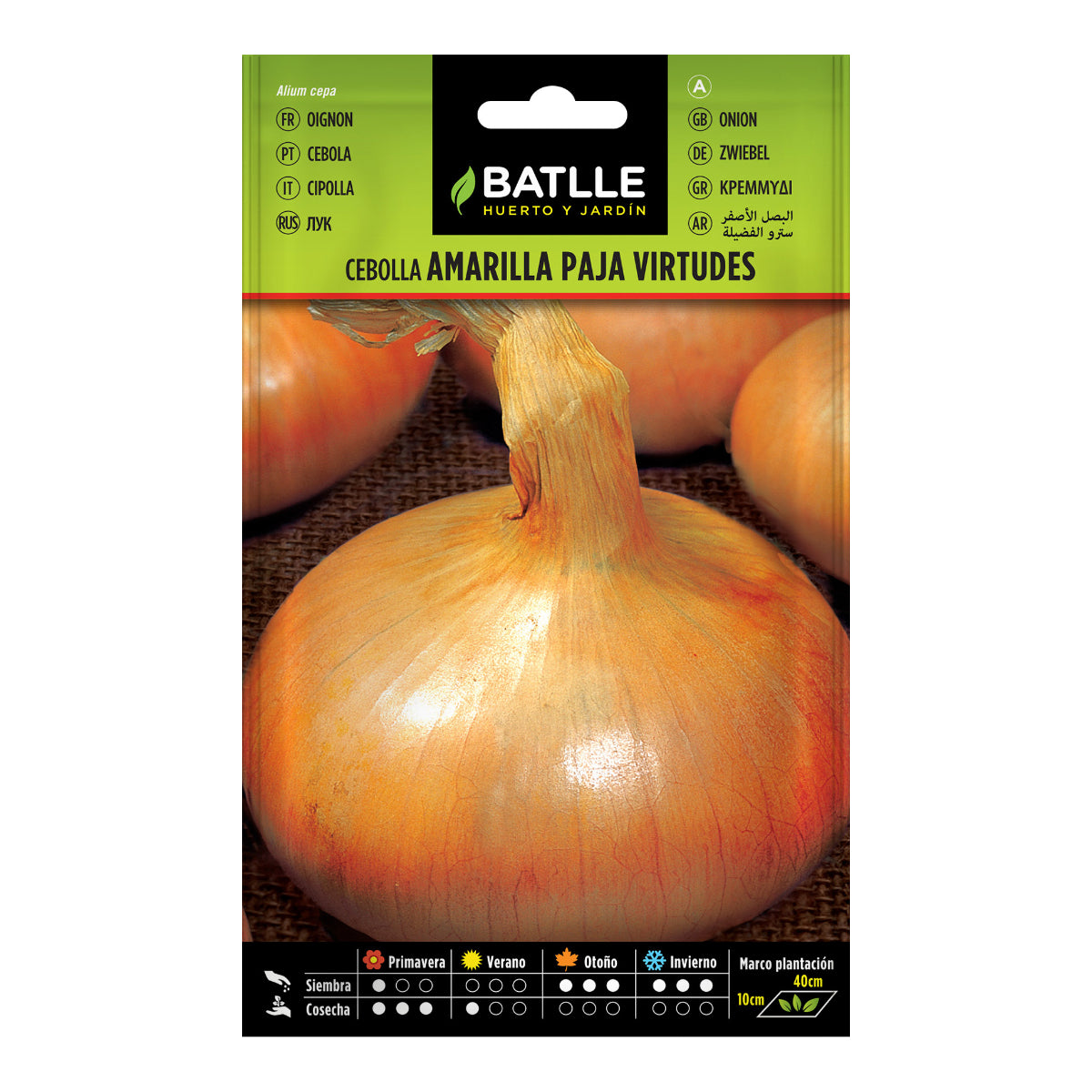 Gula lökfrön Paja Virtudes Batlle