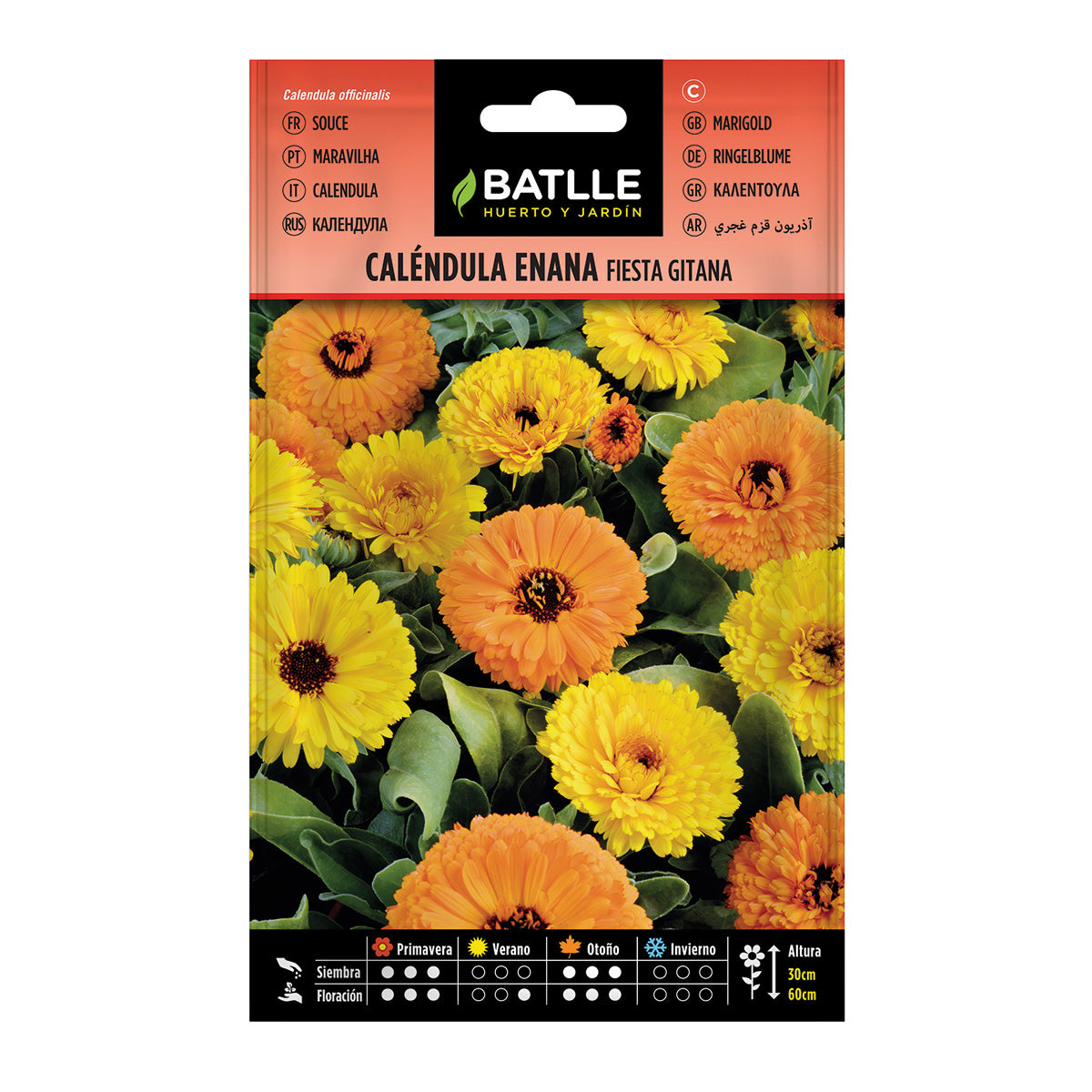 Graines de calendula nain Fiesta Gitana Batlle