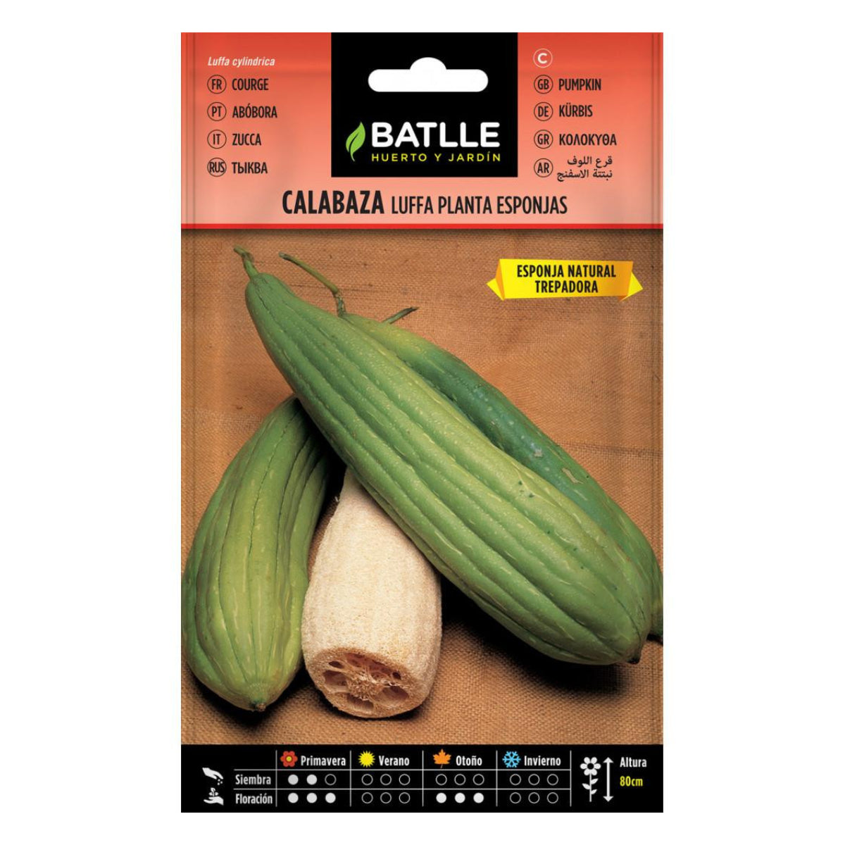 Graines de courge Lufa Batlle