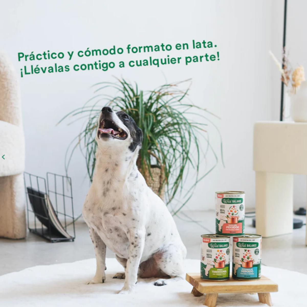 Boîte complète de ragoût du marché à la dinde et au bœuf pour chiens Wild Balance 400 g