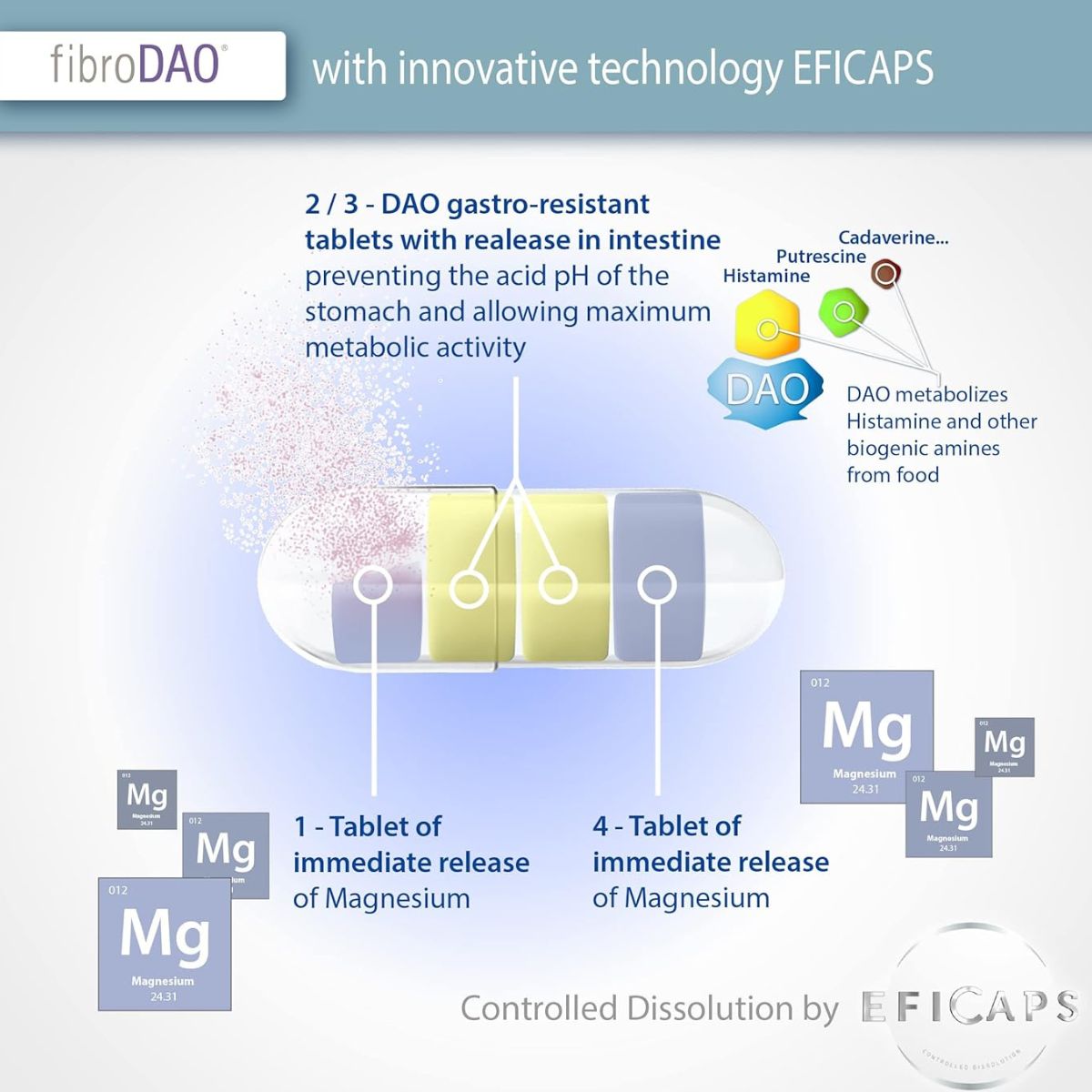 fibroDAO® 60 kapsułek z tabletkami odpornymi na działanie żołądka