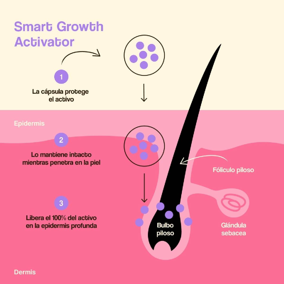 Hårväxt- och hårtäthetsbehandling Freshly 50 ml