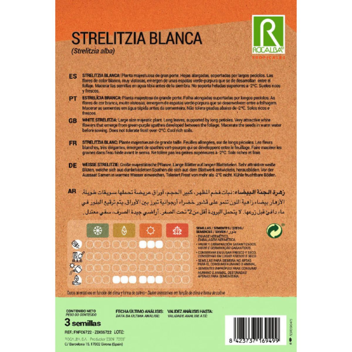 Graines de Strelitzia blanche