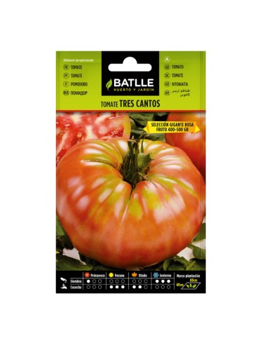 Tomatenzaadjes Tres Cantos Batlle