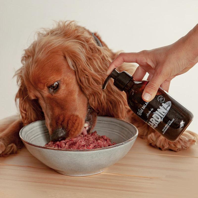 Natürliches Sardinenöl Wild Balance 250 ml