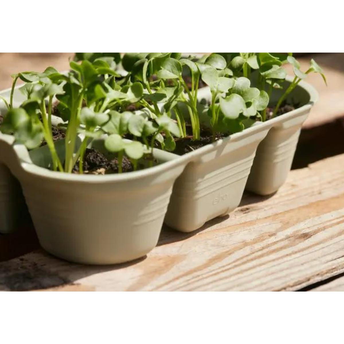 Green Basics Elho Seed Tray