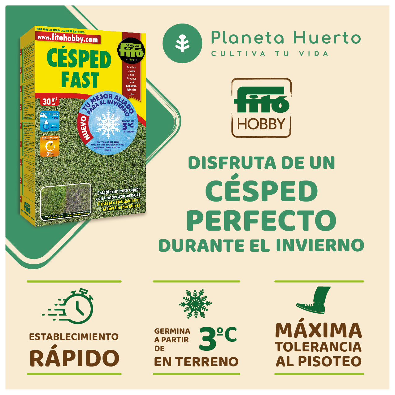 Nasiona trawy Fast Fitó 1 kg