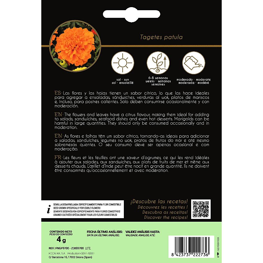 Graines de fleurs comestibles de tagète rocalba