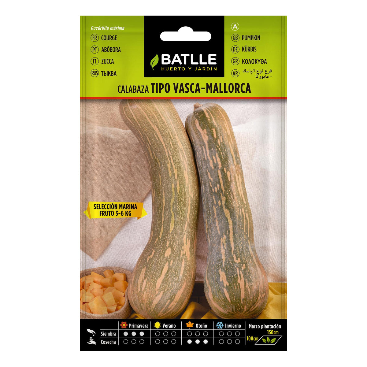 Pumpafrön av sorten vasca-Mallorca sel. Marina Batlle