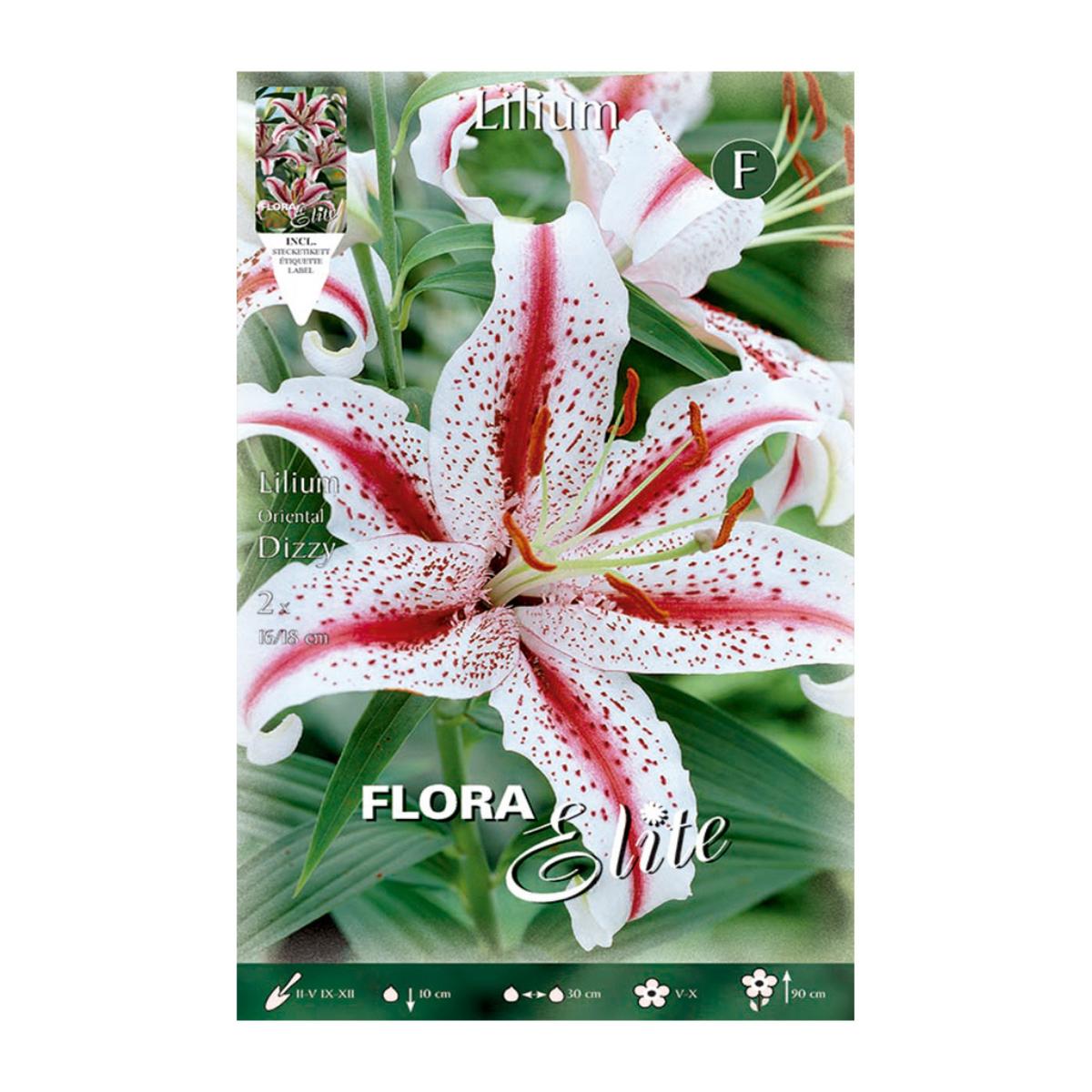 Lilium Oriental Dizzy-lök 2 st