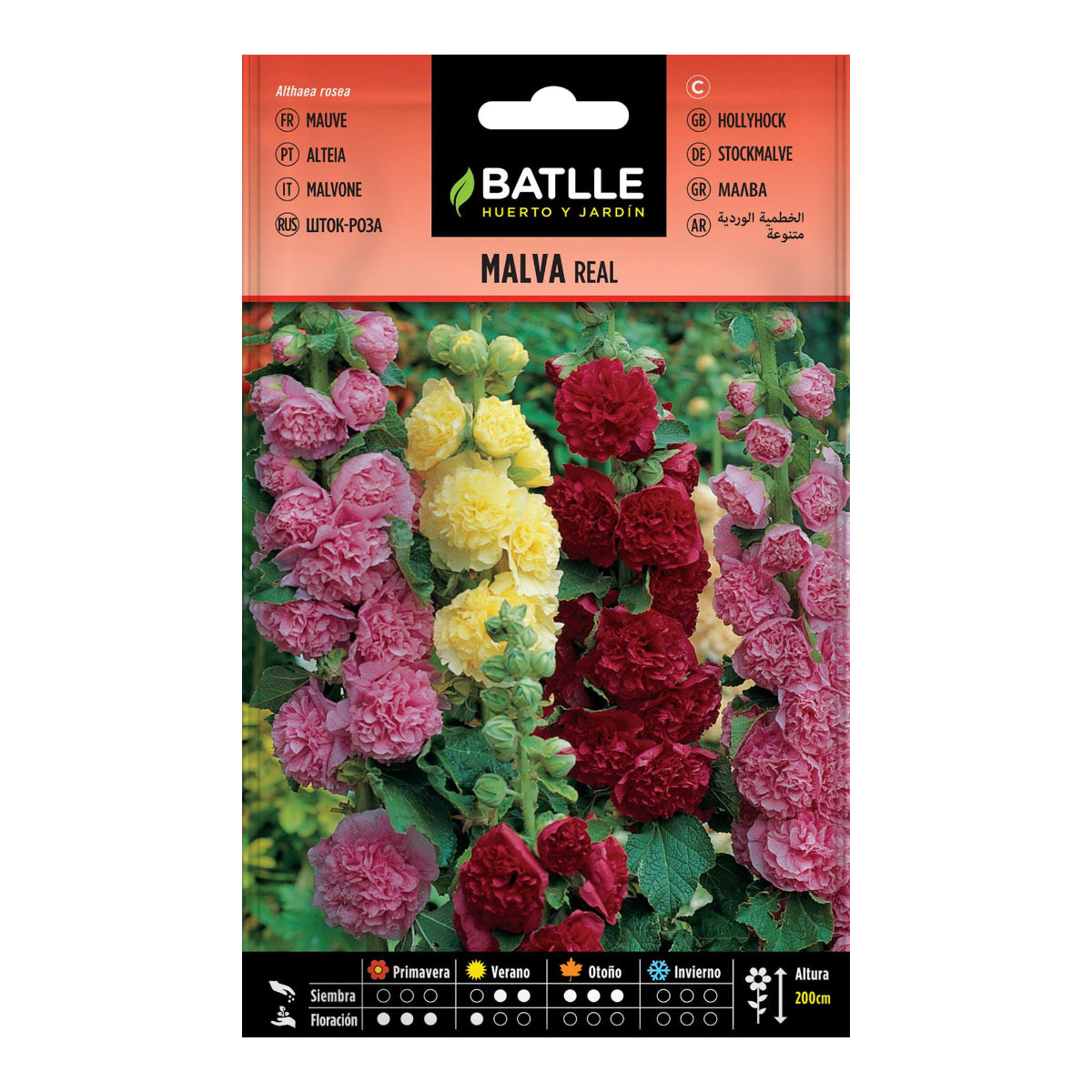 Gevarieerde malva real-zaden Batlle