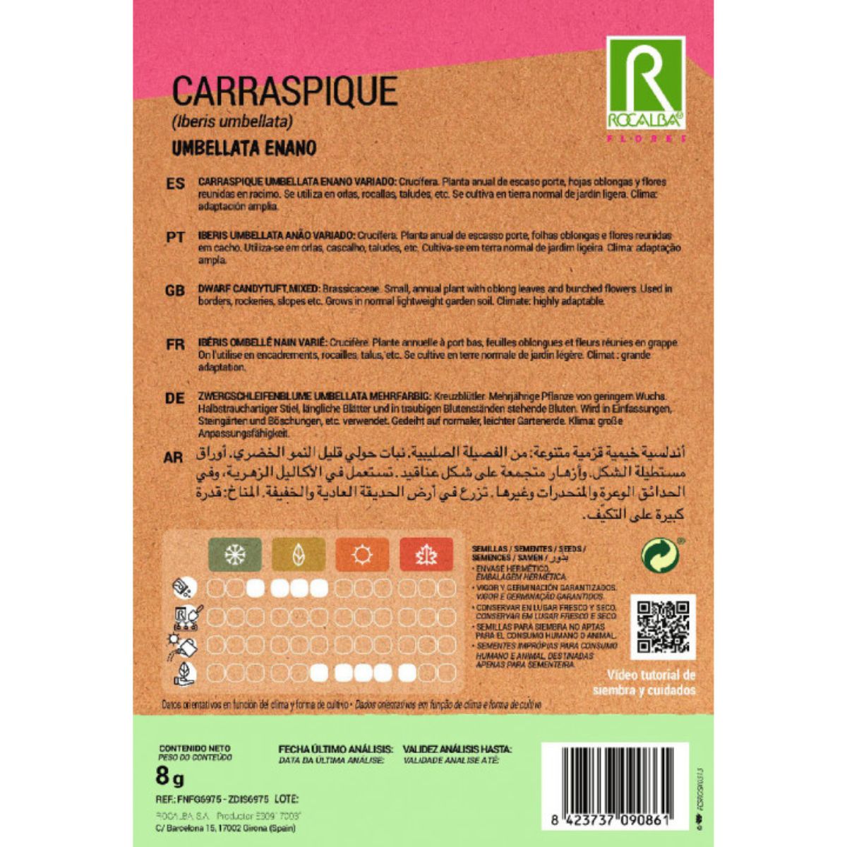 Nasiona Carraspique umbellata karłowate, mieszane