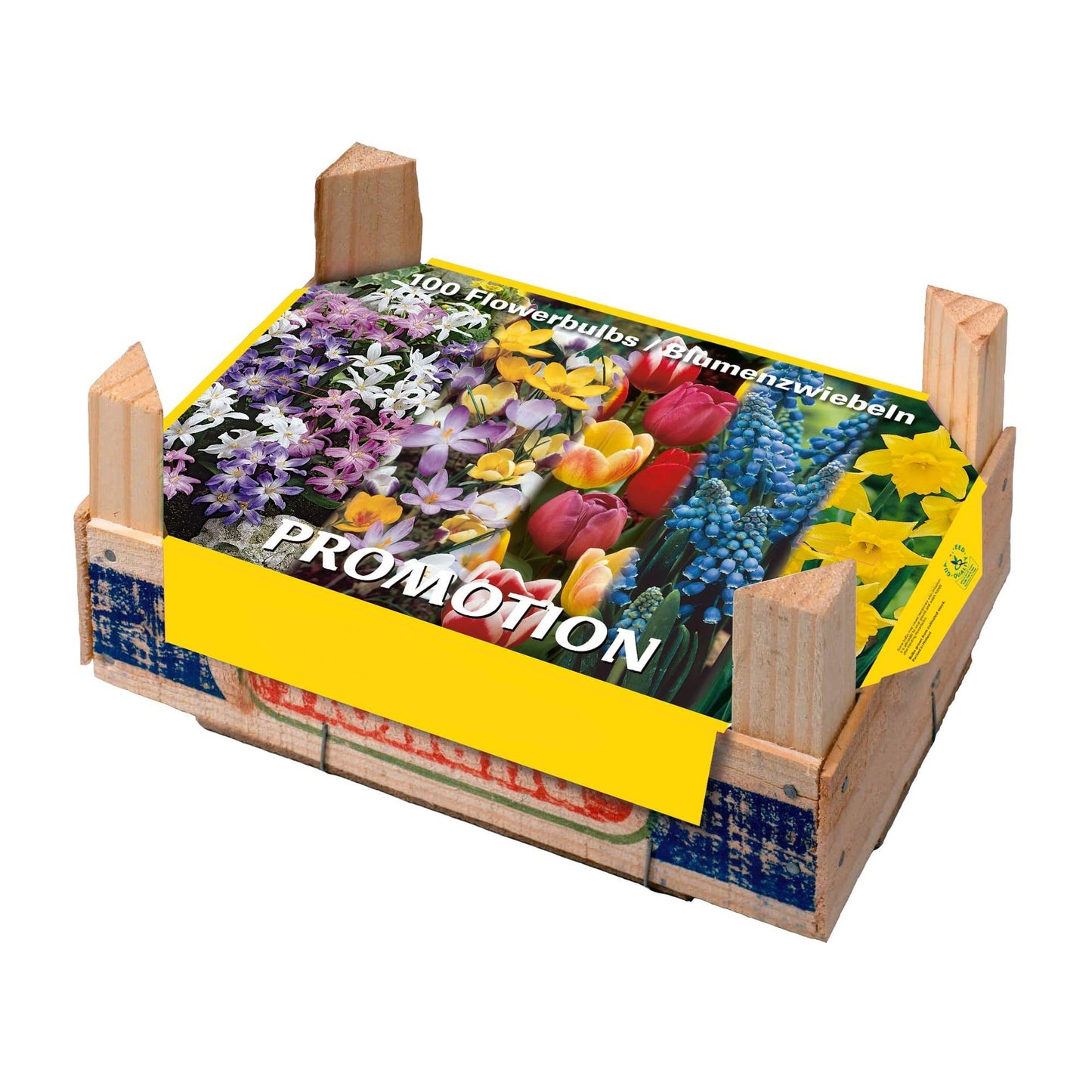 Pudełko Tray Mix Bulbos Otoño 100 szt.