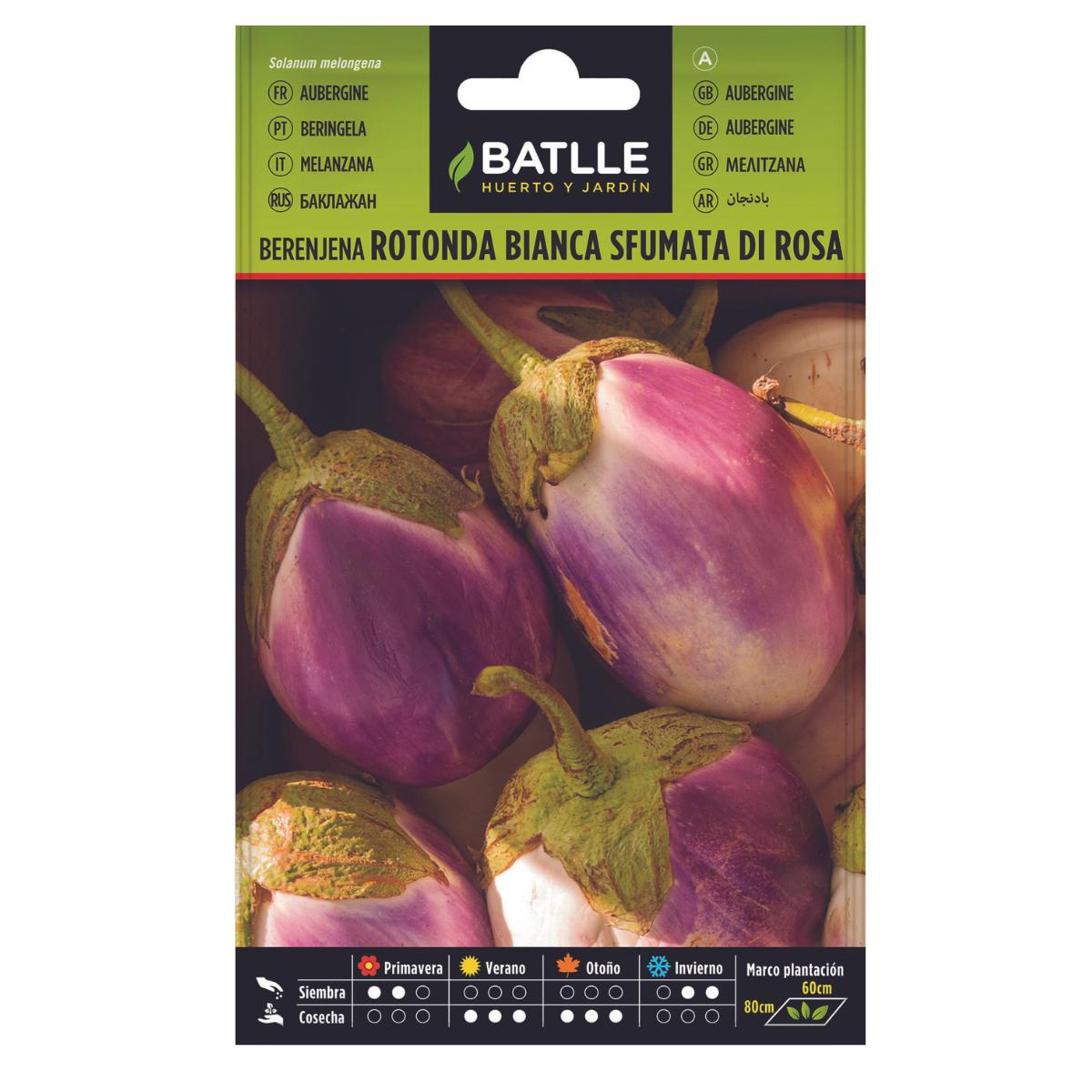 Auberginefrön Rotonda Bianca Sfumata di Rosa Batlle