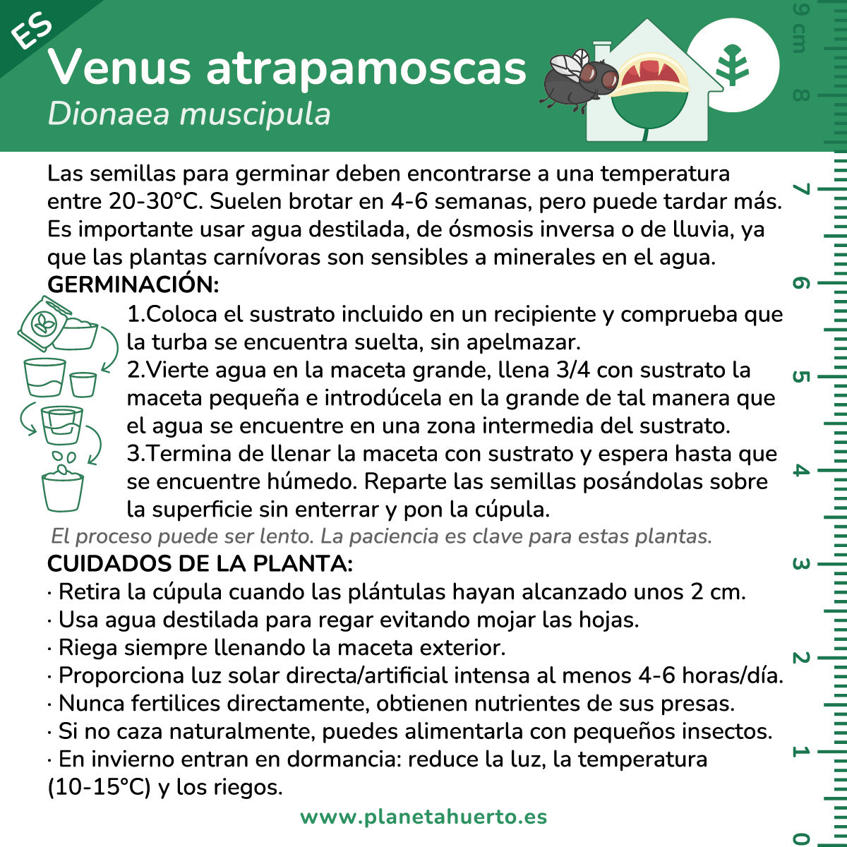 Kit d'auto-culture Plante carnivore Venus flytrap Garden planet