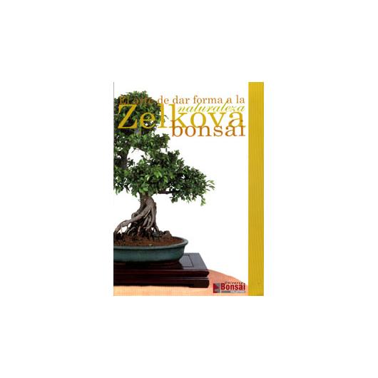Przewodnik Zelkova Bonsái