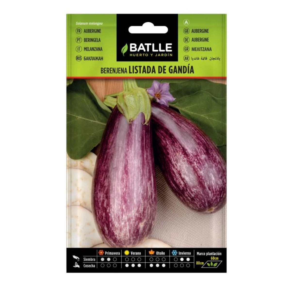 Frön av randig aubergine från Gandía Batlle