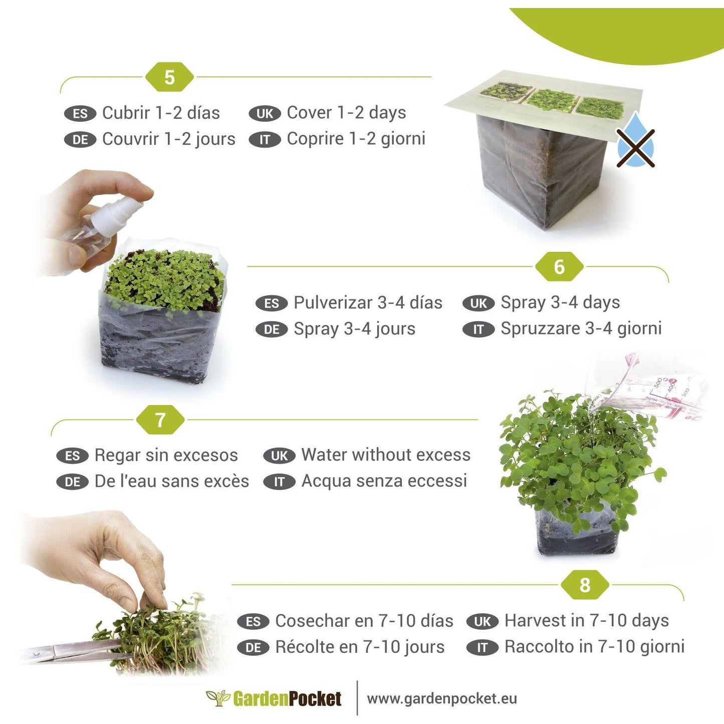 Mikro warzywa POP Mix