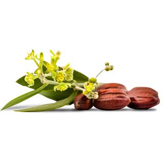 Masque effet papillon - Beautiful Black - Lavera 11 ml