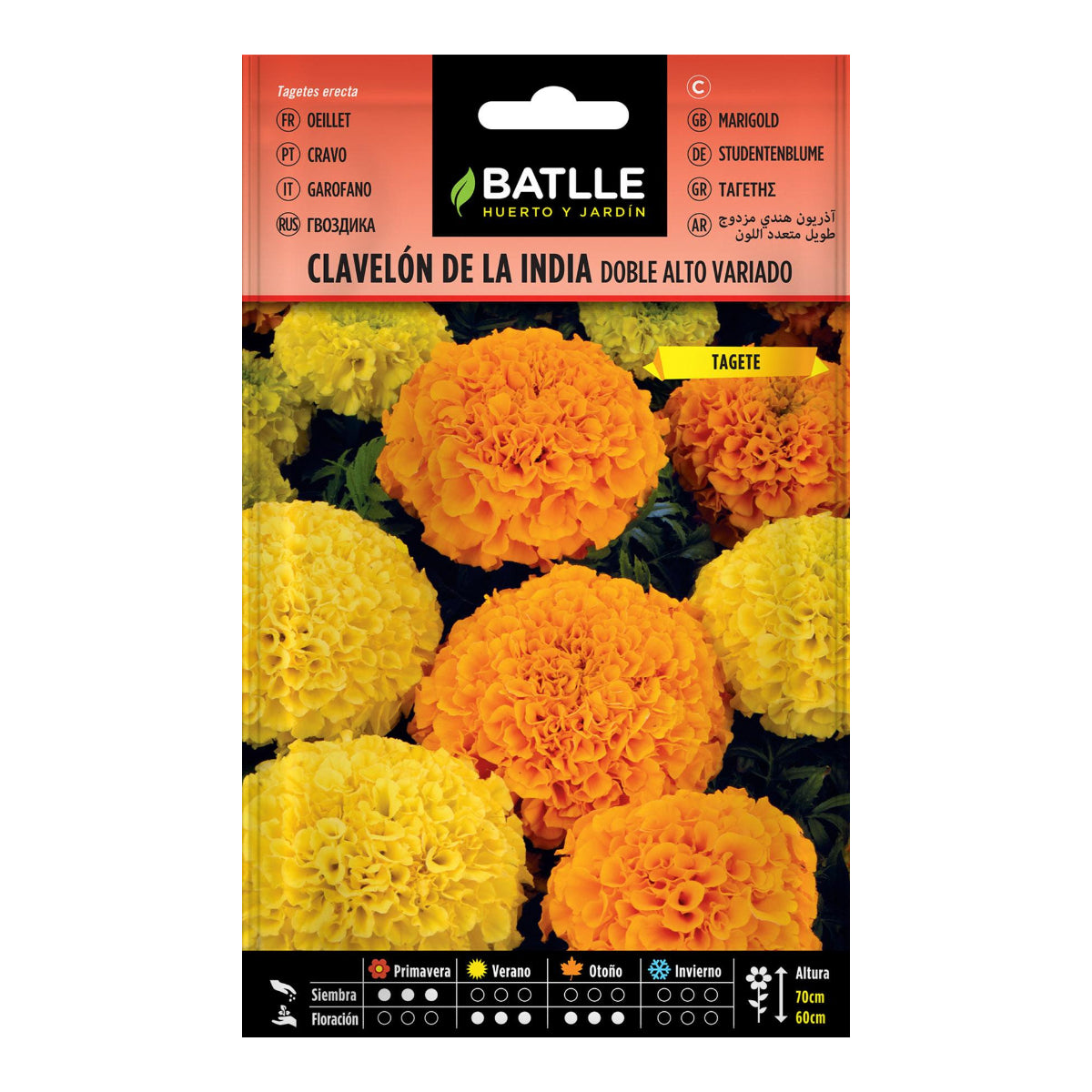 Nasiona goździków indyjskich podwójnych wysokich Batlle