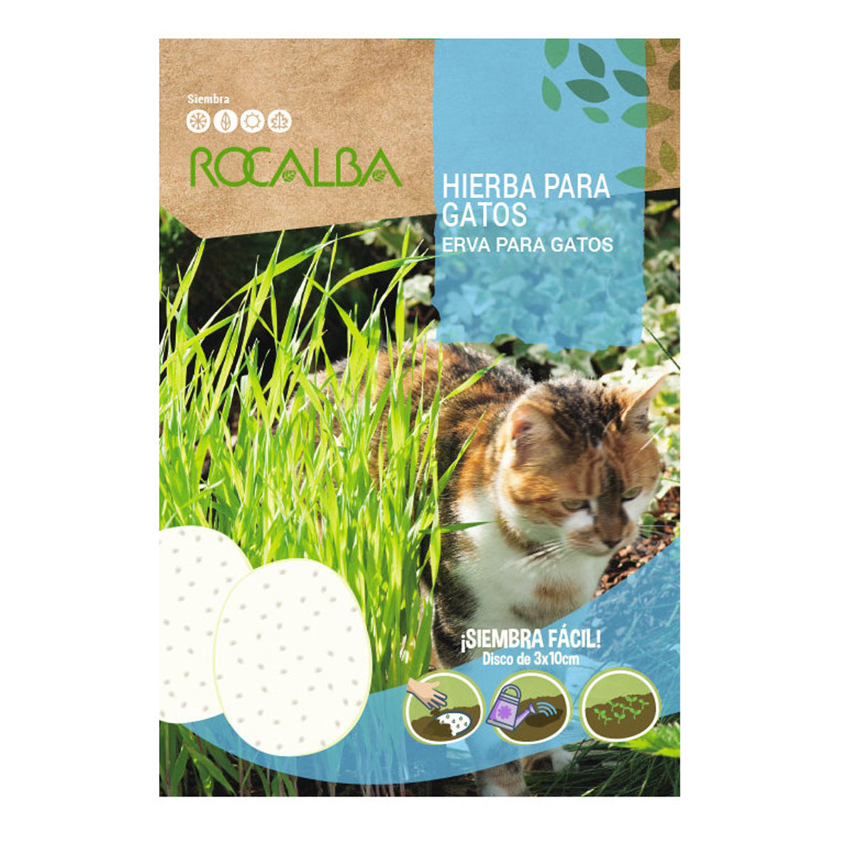 Cat grass seeds in discs, Rocalba