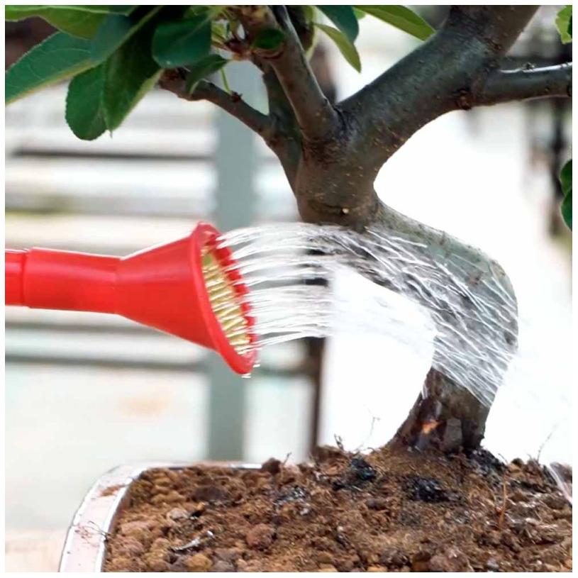 Red Bonsai Watering Can 0.9 L