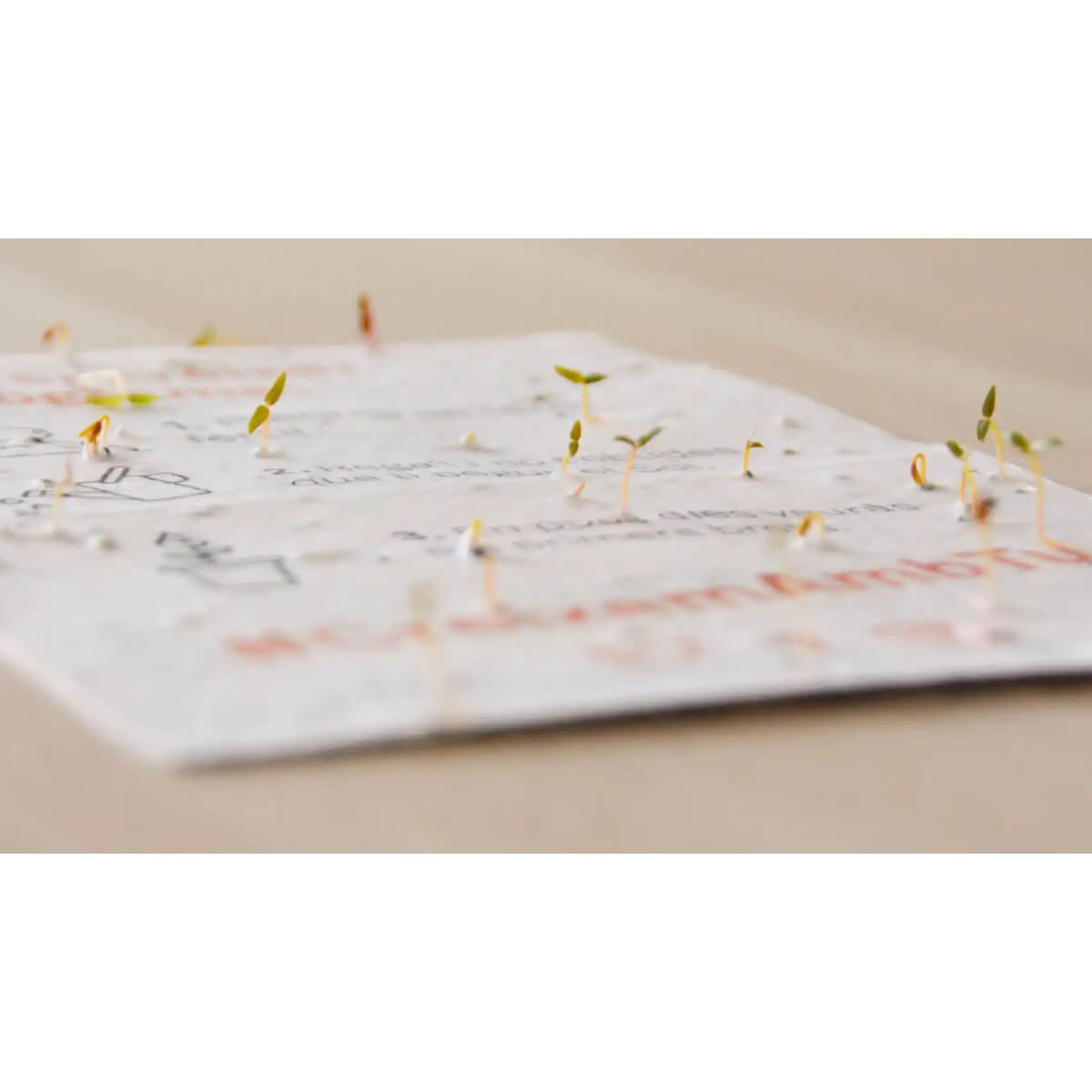 Calendario piantabile 2025 Planet Orchard Trasformare il tempo in natura