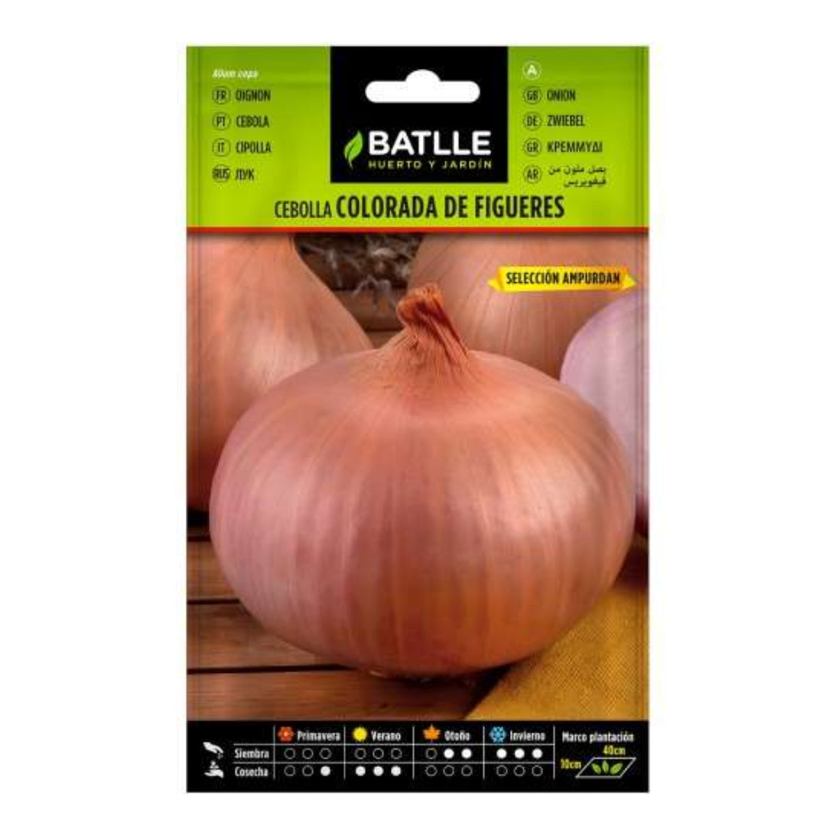 Rödlöksfrön från Figueras sel. Ampurdan Batlle