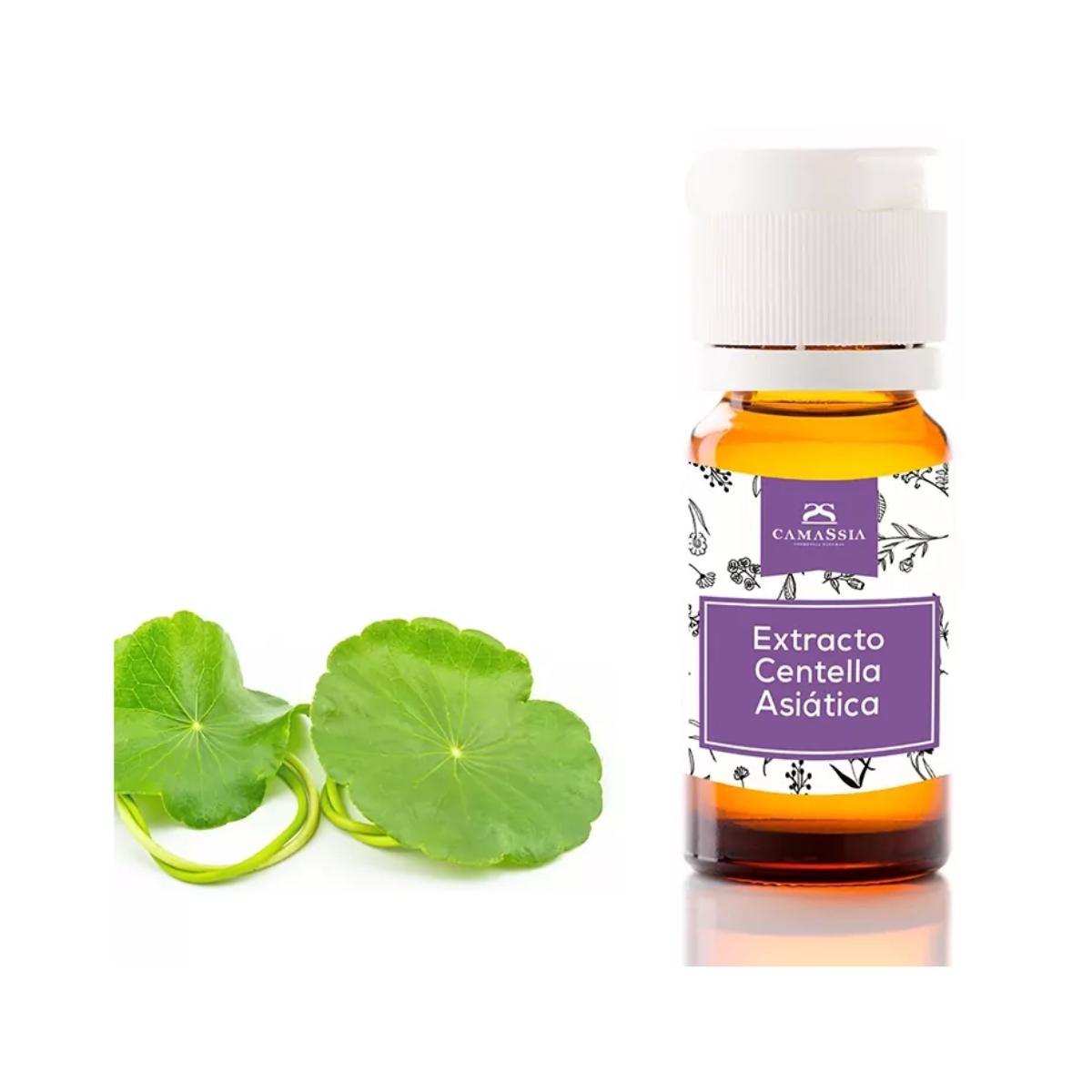 Centella asiatica extract, 10 ml. Camassia