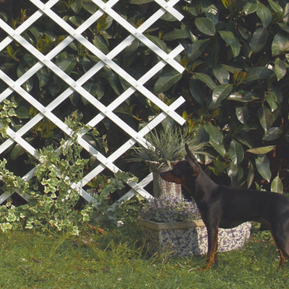 Rozciągliwa siatka PVC 0,5 x 1,5 m, biała Trelliflex Nortene