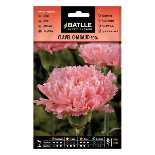 Nasiona różowej goździki Batlle