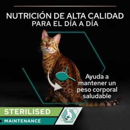 Pro Plan Gato Adulto Sterilised Maintenance Terrina con atún y salmón Purina lata 12 x 85 g