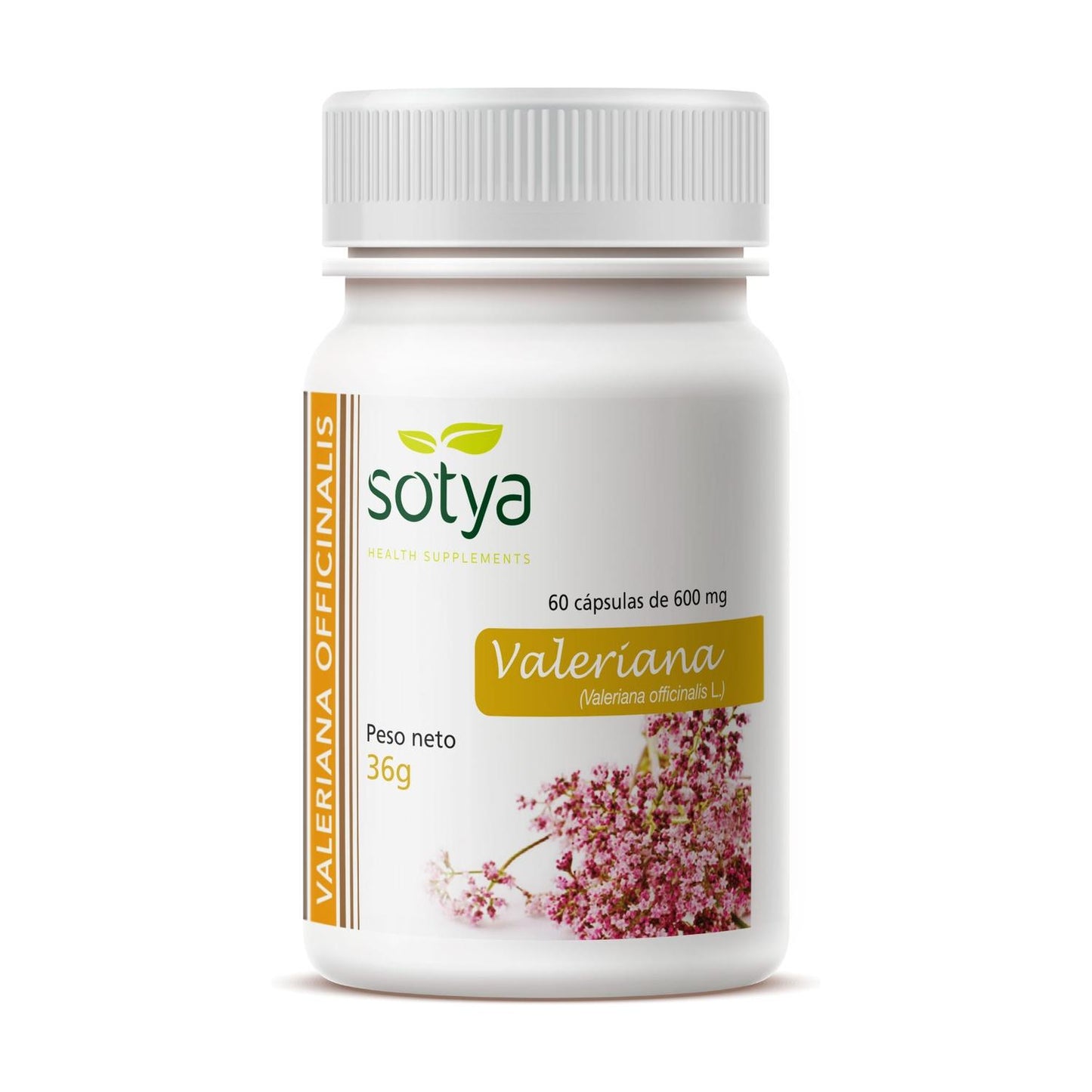 Valériane 600 mg, 60 gélules Sotya