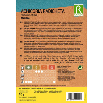 Samen der Radicchio-Salatsorte Spadina