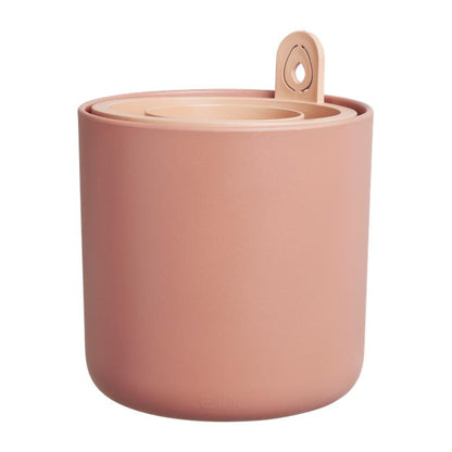 Amazing Avocado Elho Terra avocado germinator pot