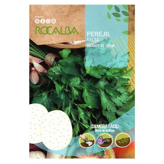 Samen der italienischen Riesenpetersilie in Scheiben, Rocalba