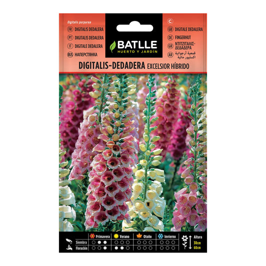 Graines de Digitalis Dedalera excelsior hybride Batlle