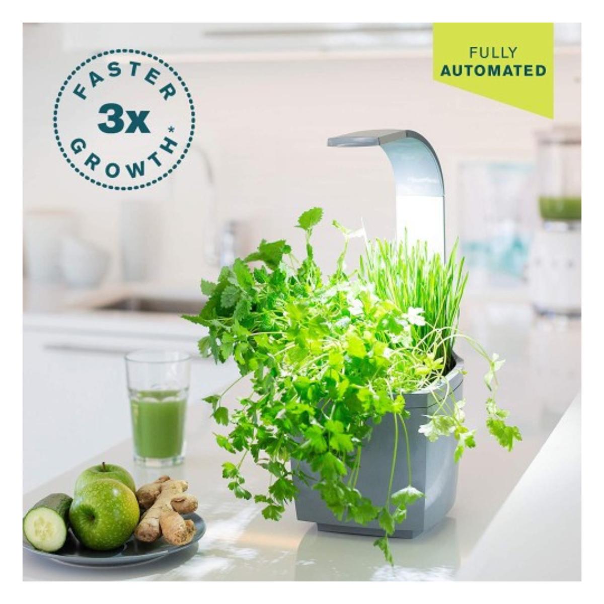 Vaso per coltivazione domestica T3 Kitchen Garden 20 x 17,5 cm Nero