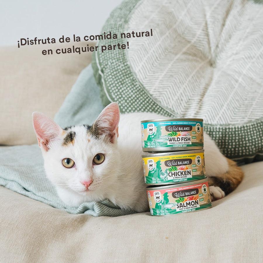 Packung BARF-Hühnchenkonserven für Katzen 6 x 120 g Wild Balance